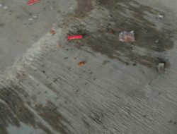 Buanglah sampah sesukamu